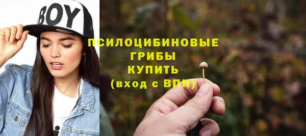 индика Белоозёрский