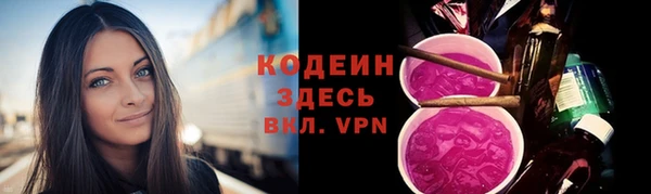 индика Белоозёрский
