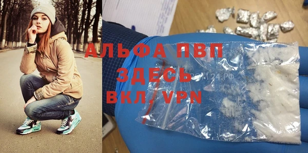 сатива Богданович