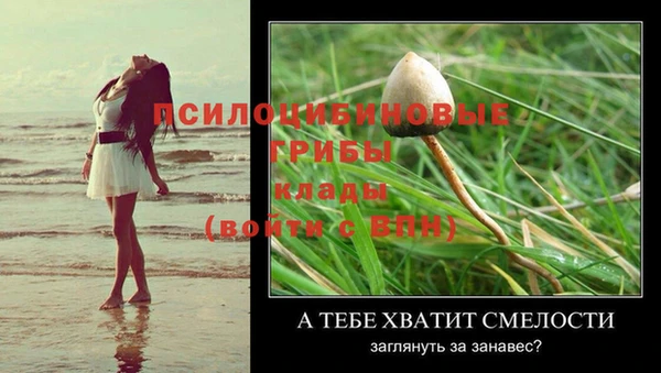меф Беломорск