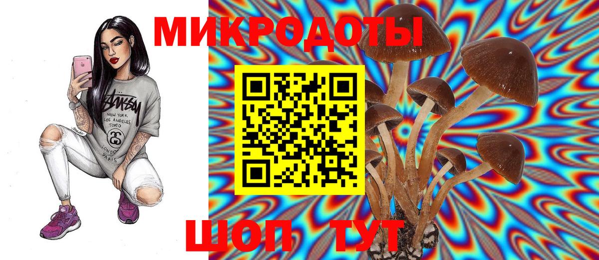 Галлюциногенные грибы Magic Shrooms  наркотики  Верхний Уфалей  Вход с VPN 